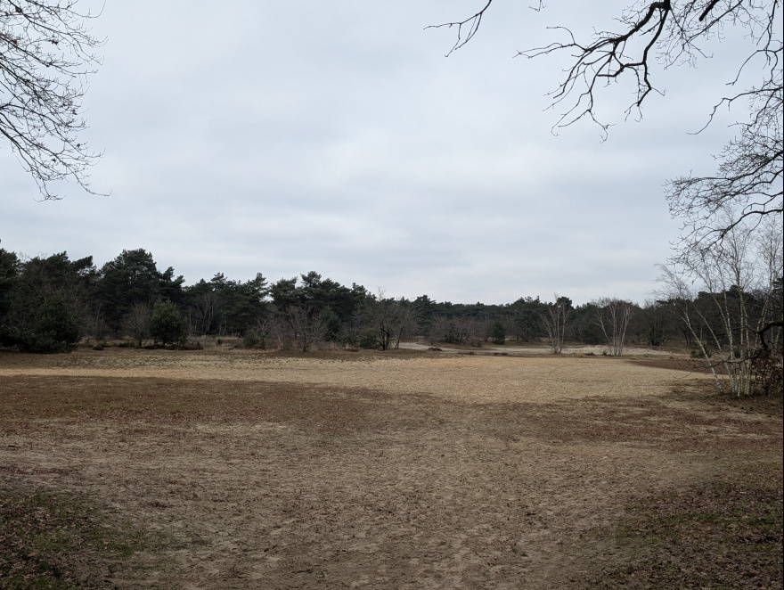 Training (Long Run) from Tilburg to Breda scenery