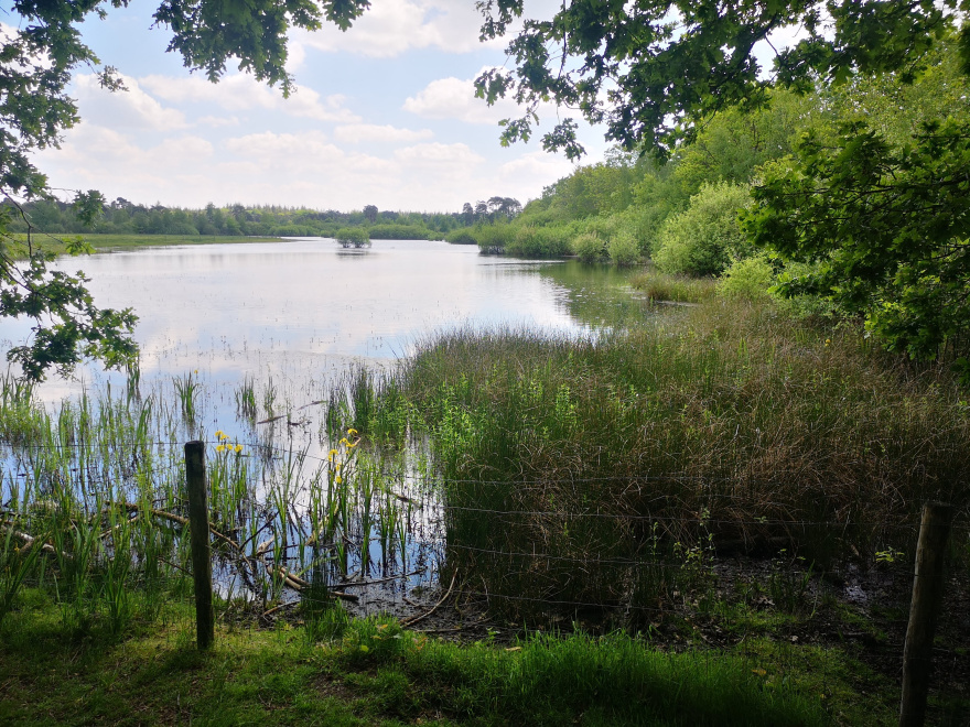 Training (Long Run) in Breda scenery