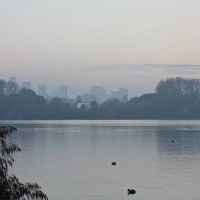 Kralingse Bos Parkrun 2024 scenery