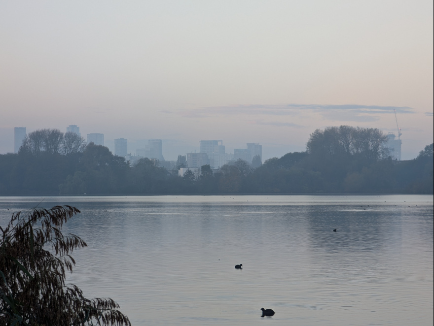 Kralingse Bos Parkrun 2024 scenery