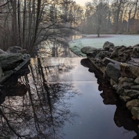 Sonsbeek Parkrun 2024 scenery