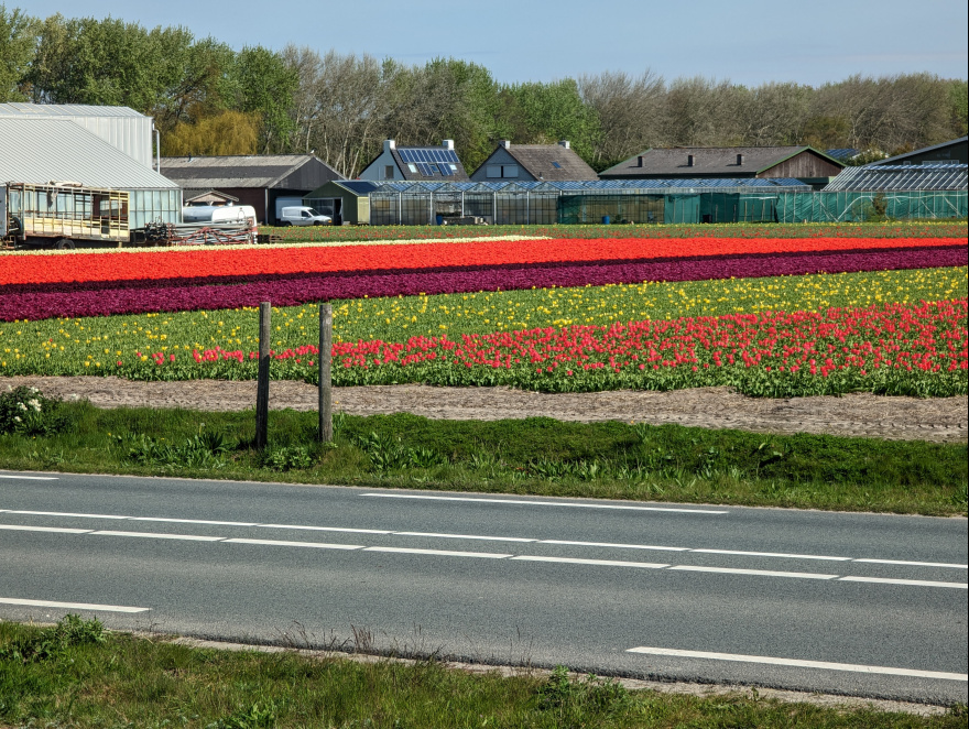 Omloop van Noordwijkerhout 2023 scenery