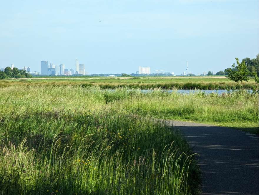 Training (Long Run) from Delft to Rotterdam scenery