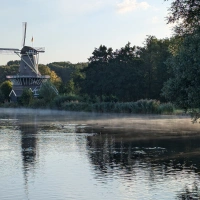 Kralingse Bos Parkrun 2024 scenery