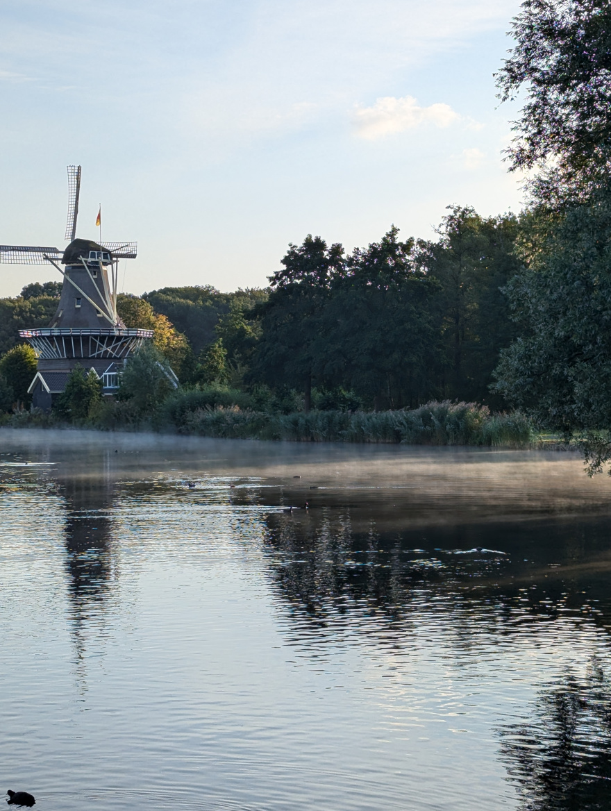 Kralingse Bos Parkrun 2024 scenery