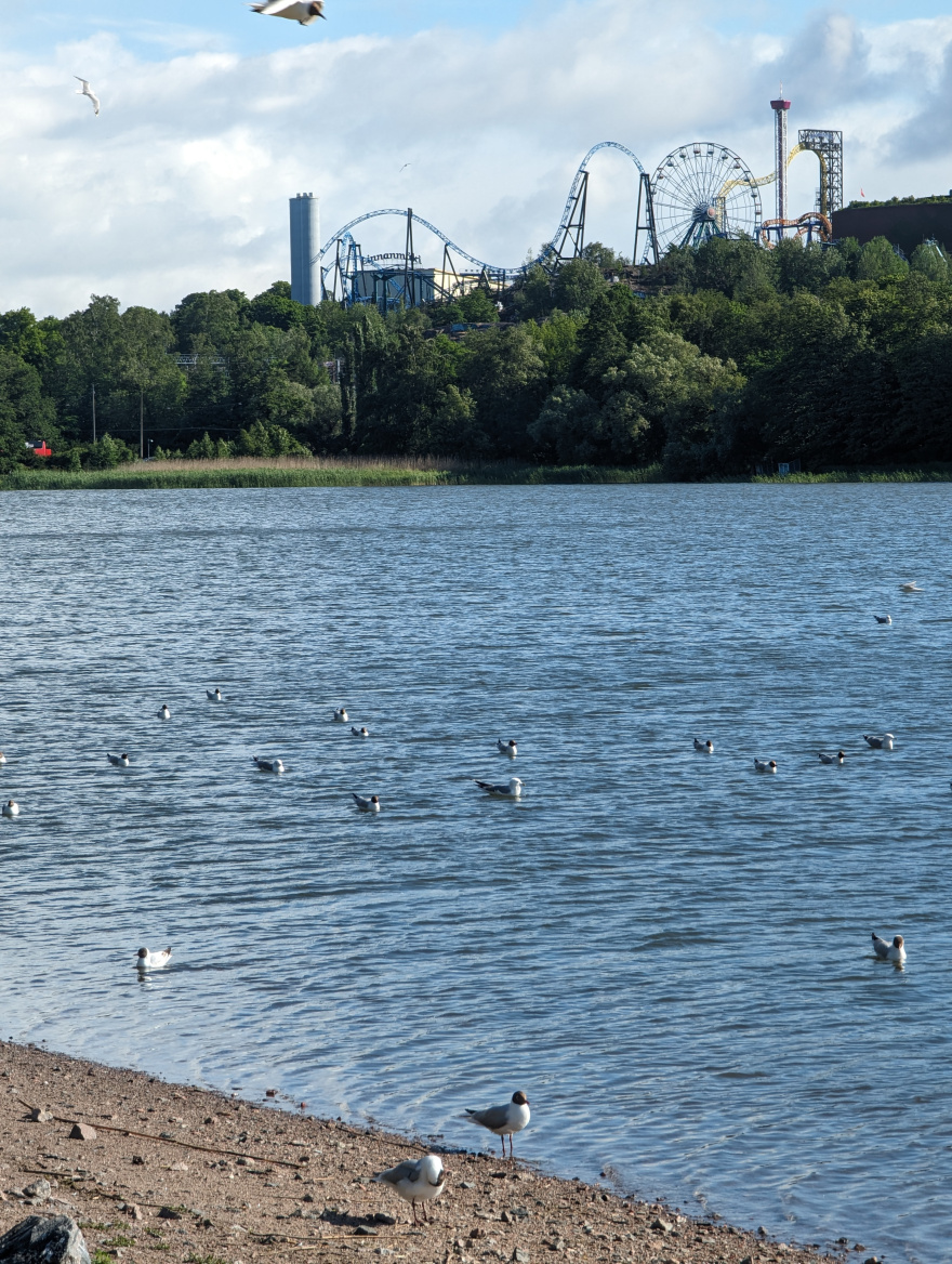 Training (Recovery Run) in Helsinki scenery