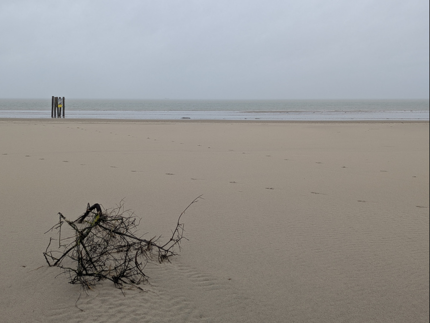 Training (Long Run) in Schouwen-Duiveland scenery