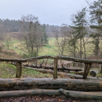 Zevenheuvelen Wintertrail 2024 scenery