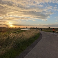 De Maasdijk 2024 scenery