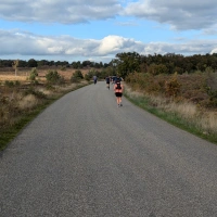 Diepe Hel Holterbergloop 2024 scenery