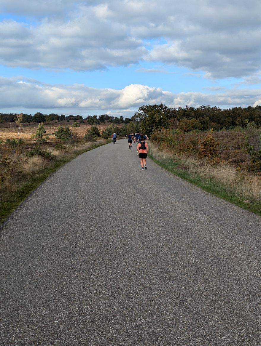 Diepe Hel Holterbergloop 2024 scenery