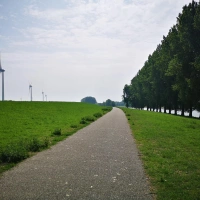 Training Run in Rotterdam scenery