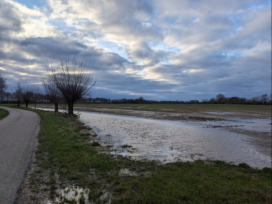 Training (Easy Run) in Zevenaar scenery