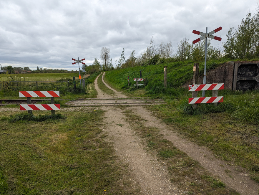 Zwaakse Weelloop 2024 scenery