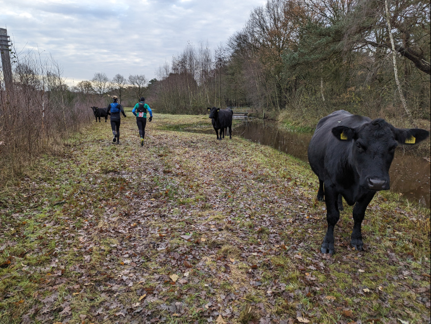 Brabantse Kluis Trail 2023 event impression