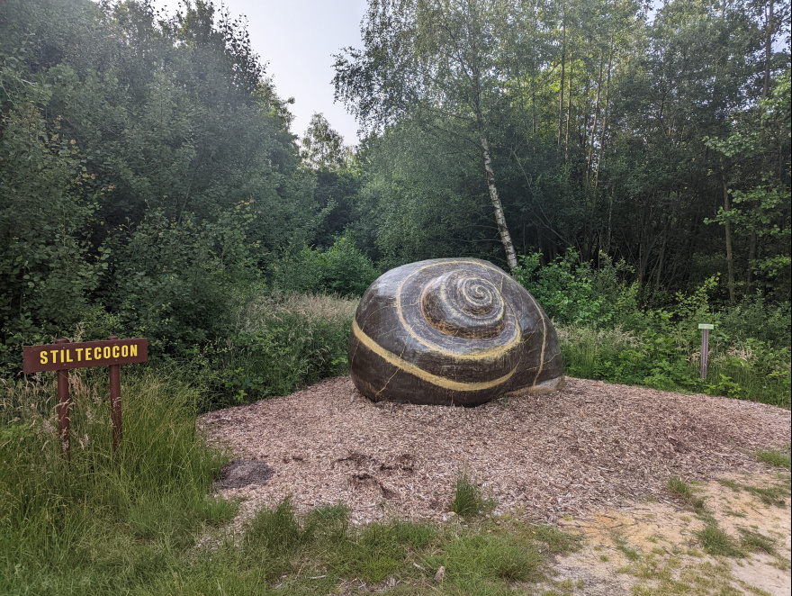 Training (Easy Run) in Dessel scenery