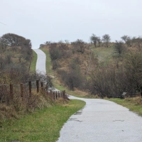 Training (Long Run) in Schouwen-Duiveland scenery