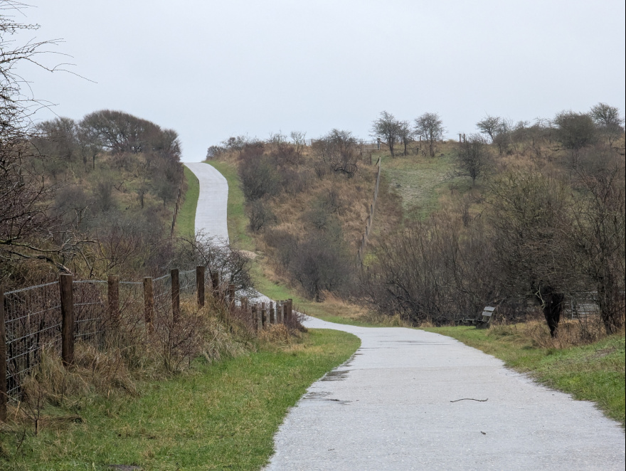 Training (Long Run) in Schouwen-Duiveland scenery