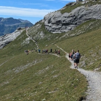 Jungfrau Marathon 2024 event impression