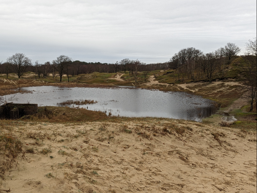 Training (Easy Run) in Schouwen-Duiveland scenery