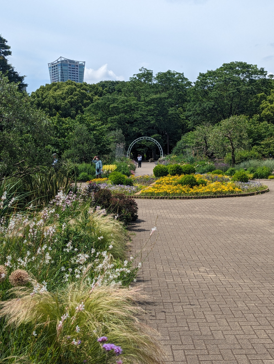 Training (Long Run) in Minato scenery