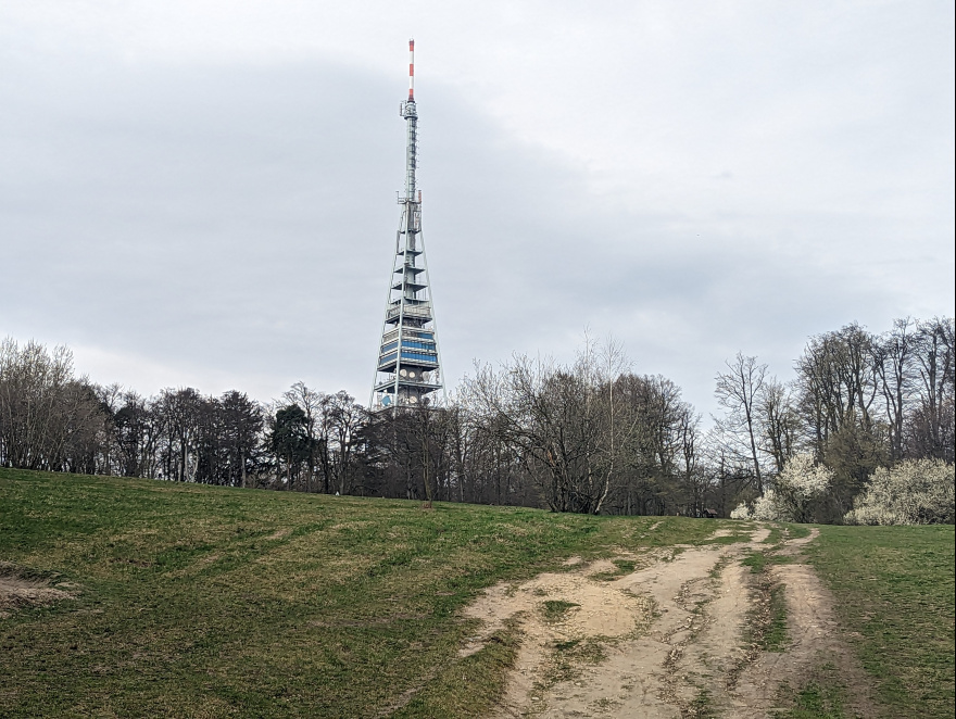 Training (Long Run) in Bratislava scenery