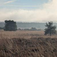 Derde Kerstdagloop 2024 scenery