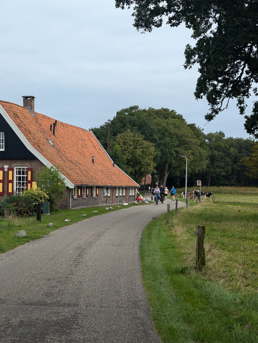 Almelo Allee 2024 scenery