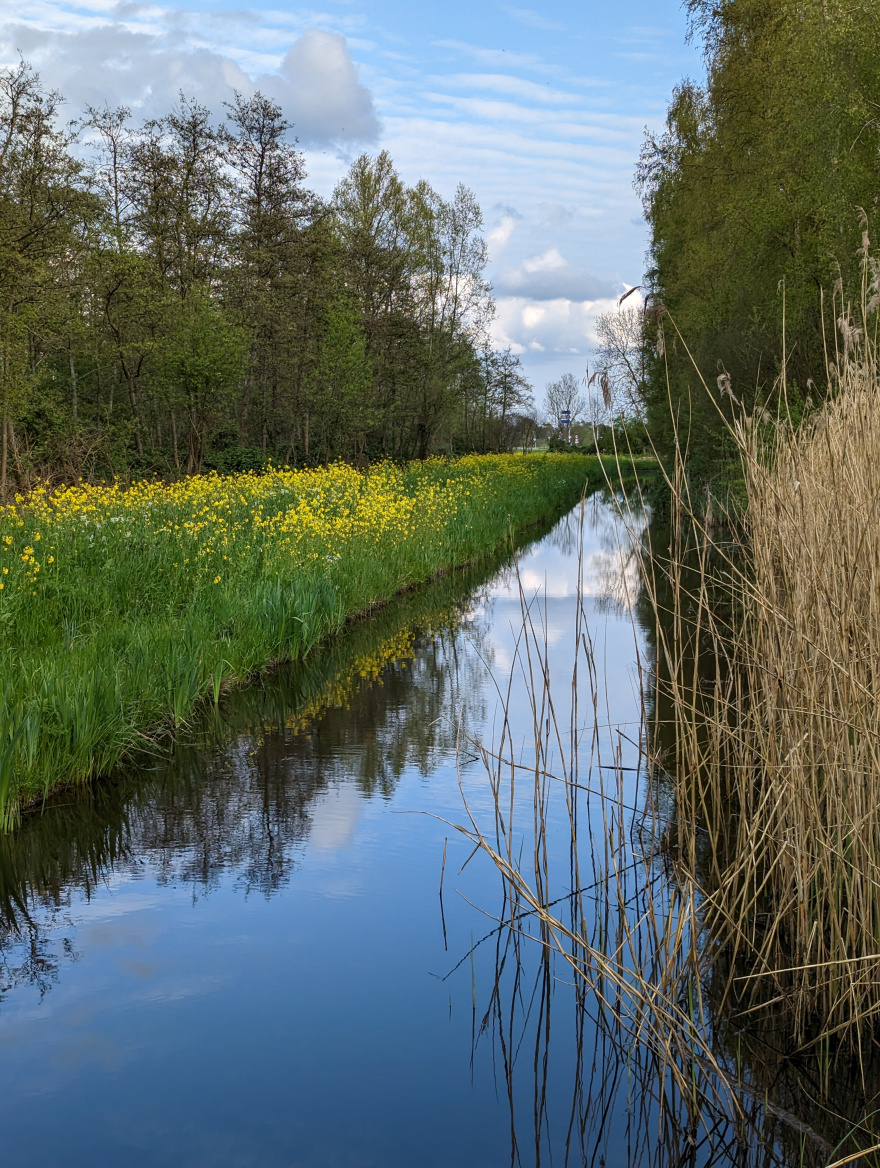 Koningsloop 2023 scenery