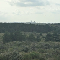 Halve van Katwijk 2023 scenery