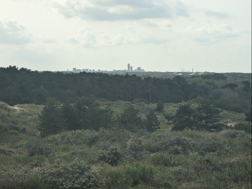 Halve van Katwijk 2023 scenery