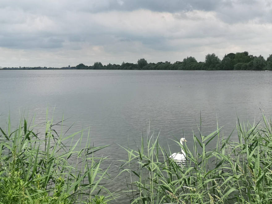 Training (Long Run) in Gouda scenery