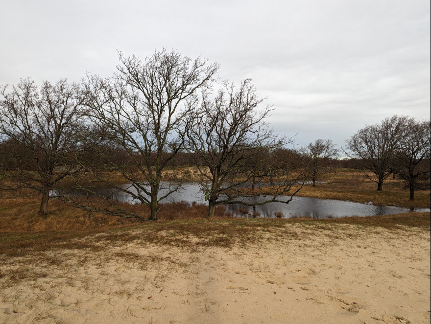 Training (Easy Run) in Schouwen-Duiveland scenery