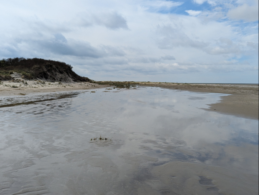 Training (Long Run) from Brielle to Westvoorne scenery