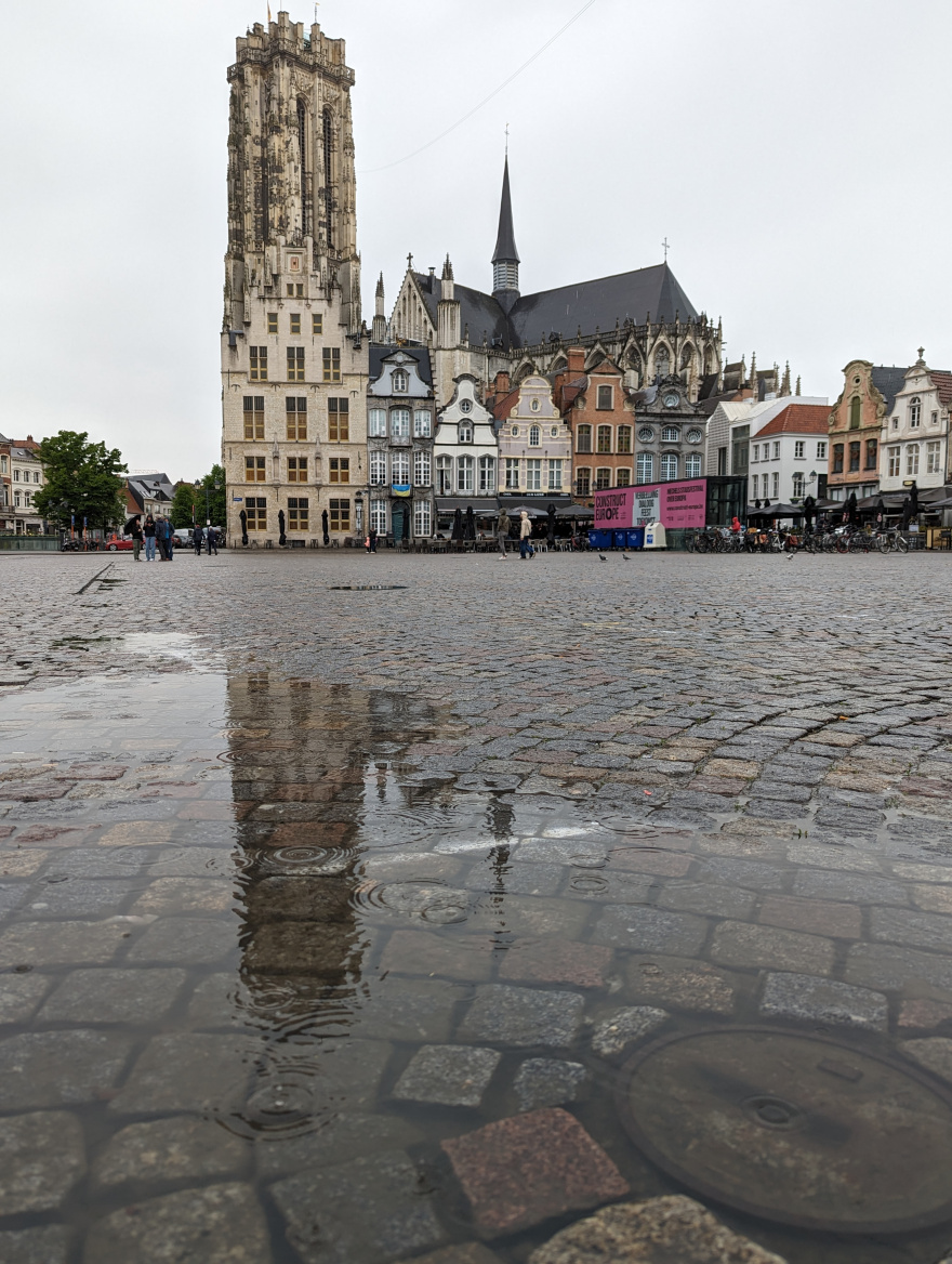 Training (Recovery Run) in Mechelen scenery