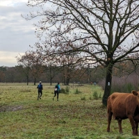 Brabantse Kluis Trail 2023 scenery