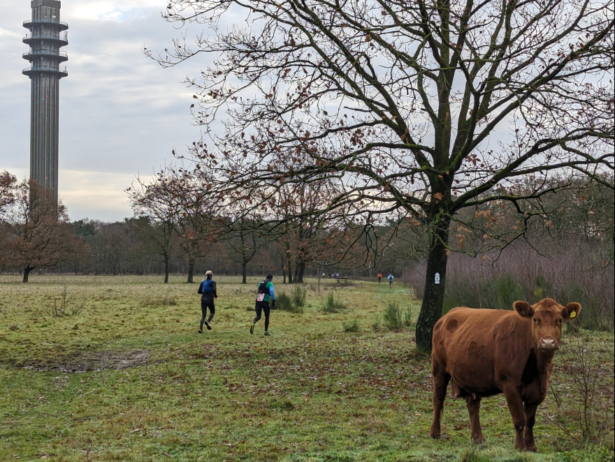 Brabantse Kluis Trail 2023 scenery