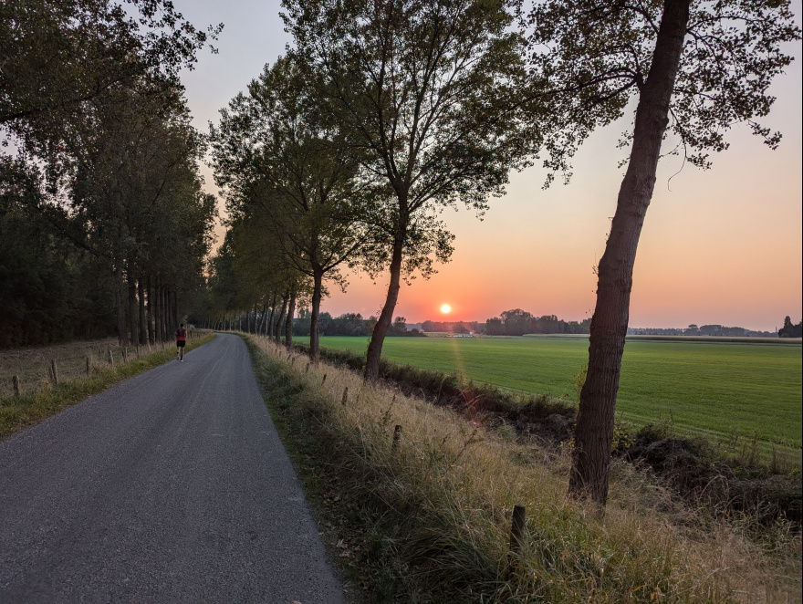 Sint Joosloop 2024 scenery