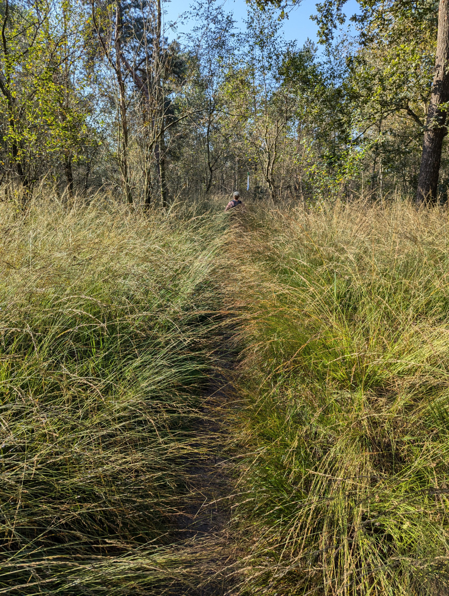 Keelven Trail 2024 scenery