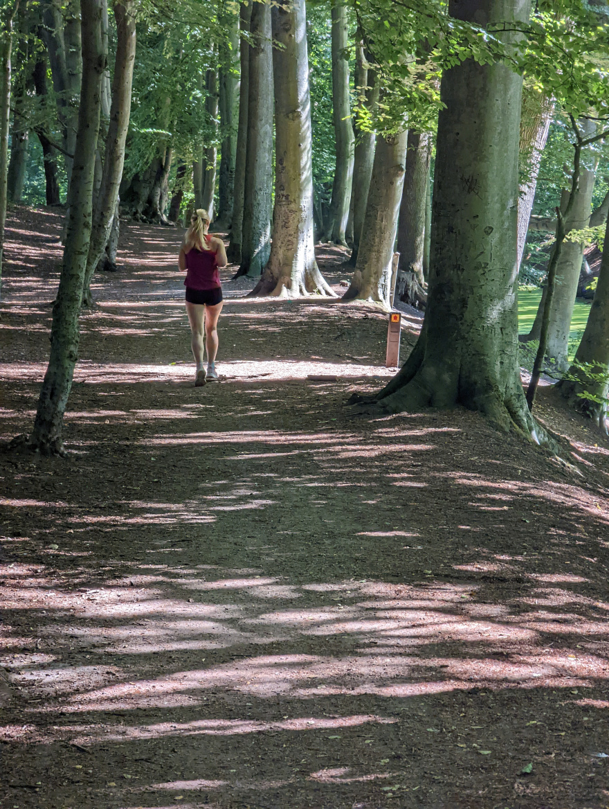 Training (Easy Run) in The Hague scenery