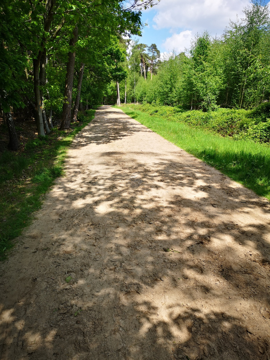 Training (Long Run) in Breda scenery