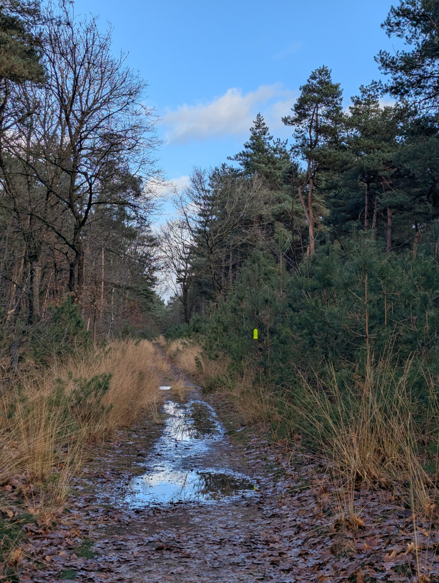 Rundje Mill 2024 scenery