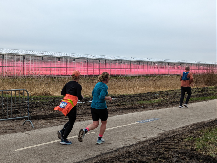 Halve Marathon Zoetermeer 2024 event impression