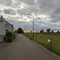 De Maasdijk 2024 scenery