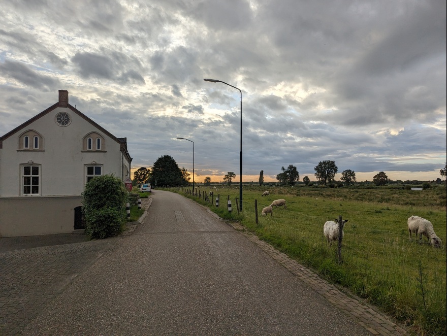 De Maasdijk 2024 scenery