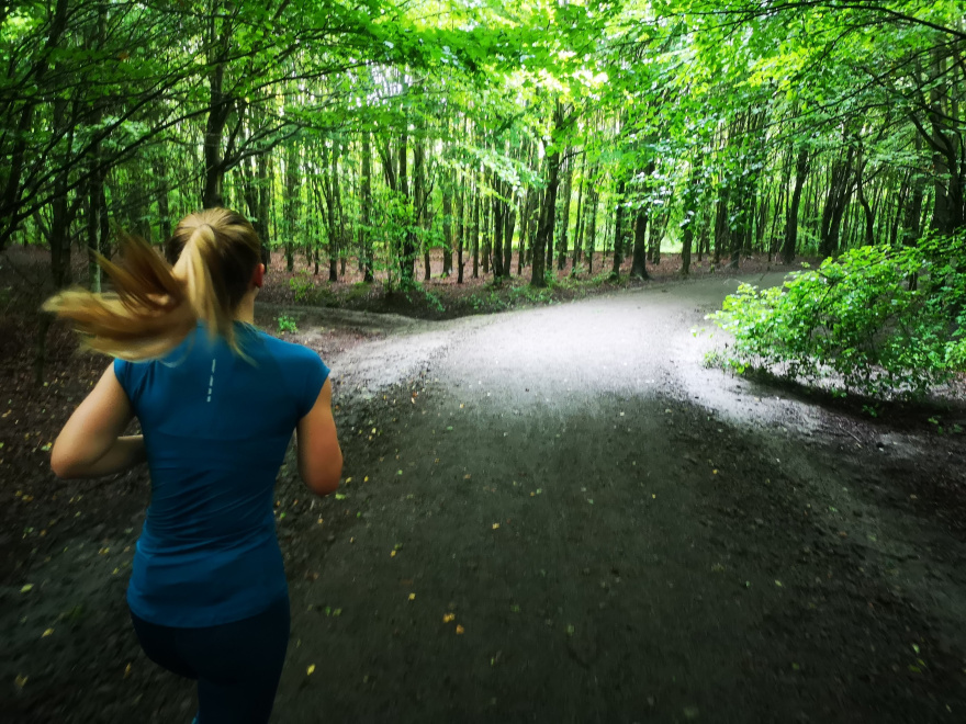 Training (Long Run) in Delft scenery