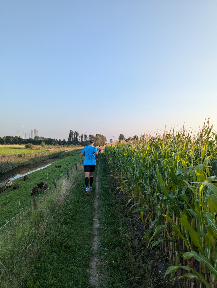 Sint Joosloop 2024 event impression