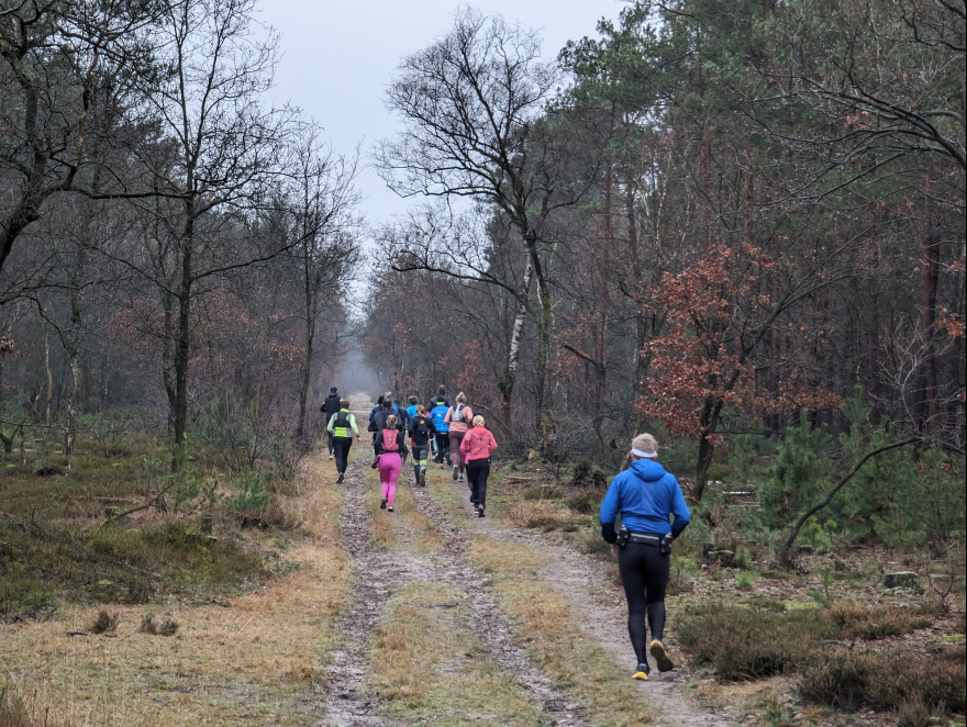 Otterlo Trail Run 2024 event impression