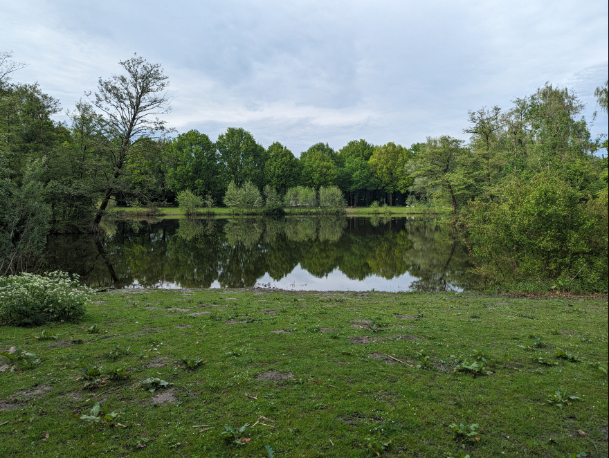 Training (Easy Run) in Tilburg scenery