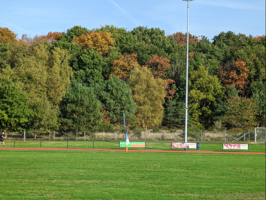 Halve Marathon Doetinchem 2022 scenery